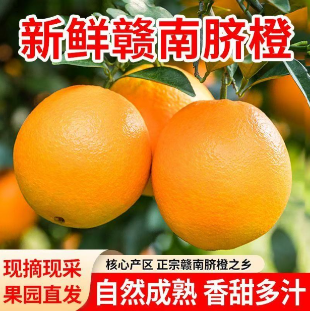  正宗江西赣南脐橙新鲜现采产地直发香甜多汁橙子