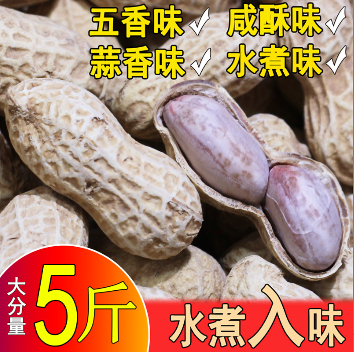 25年新龙岩花生带壳水煮白晒咸干蒜香五香湿烤盐水炒货零食熟批发